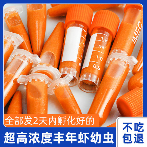 新品丰年虾卵超细免孵化冷冻卤幼冰冻幼H虫鱼食水母幼鱼孔雀鱼饲