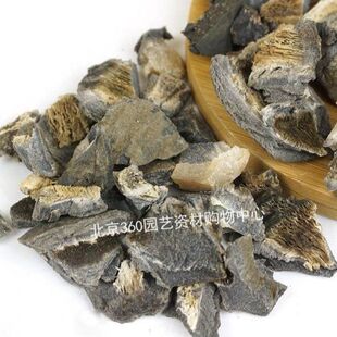 极速马掌花卉植物花盆底介质肥料马E蹄片肥盆地垫底防止土壤结块