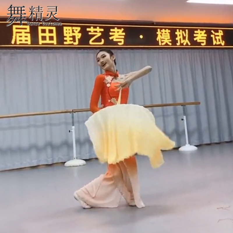速发古典舞胶州秧歌舞蹈服桃李杯咏荷沂蒙颂扇舞飘逸舞蹈演出服艺