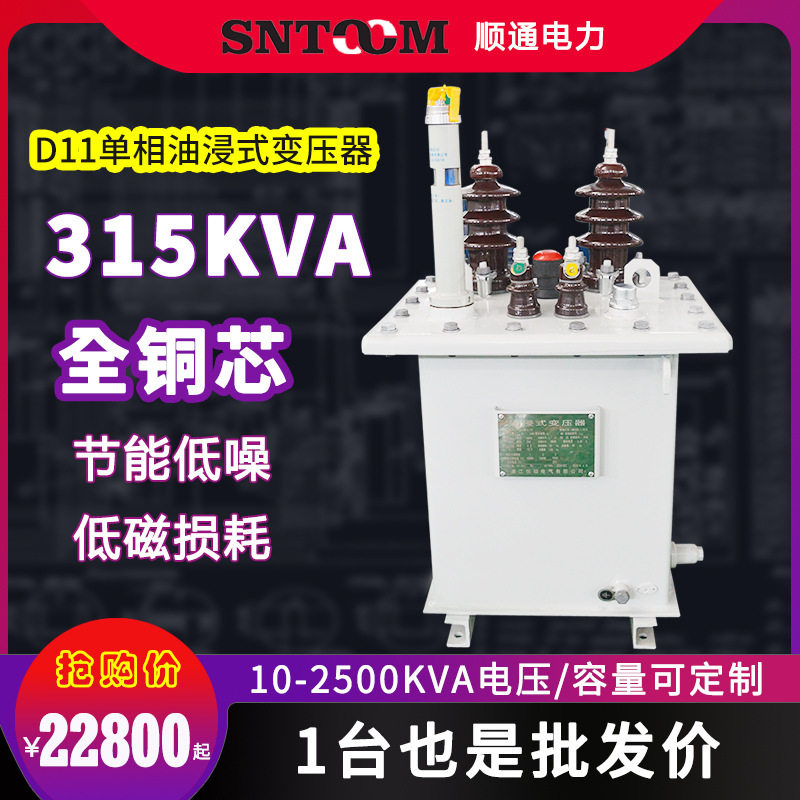 10kv/D11单相油浸式电力配电变压器250工业800/400/630全铜315kva
