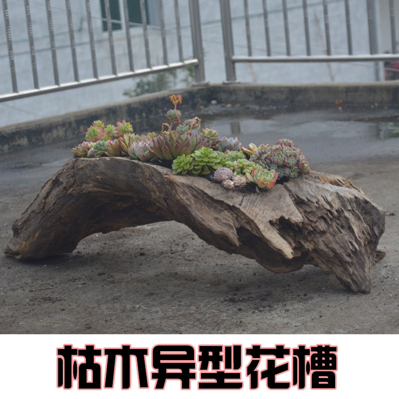 速发多肉朽风化枯木树根自然原老木槽形长方台户外创意旧木质花盆
