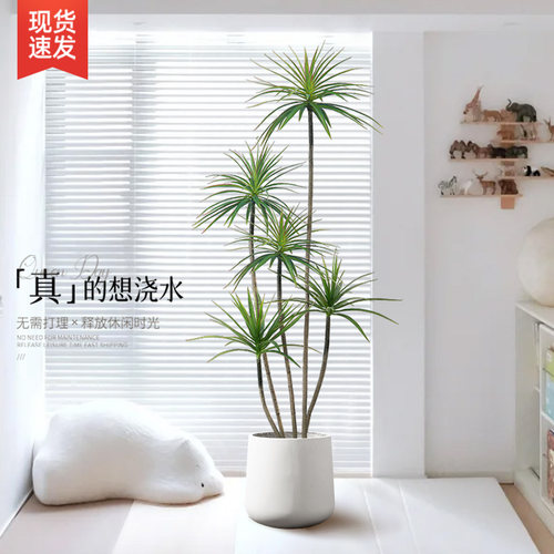 速发千奢木绿植轻年客厅血饰盆栽植物仿生假花龙装树室内落地摆件