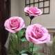 大型仿真花艺婚礼巨型玫瑰花EVA商场橱窗摆件户外布景网红