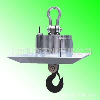 OCS-YH10T电子直视吊钩秤、山东直视吊秤价格、