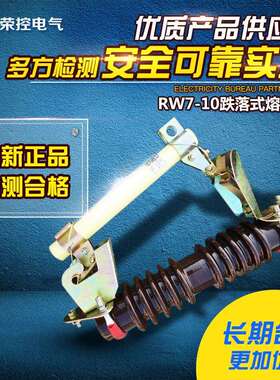 户外高压跌落式熔断器RW7-10/100A200A高压户外跌落式陶瓷保险管