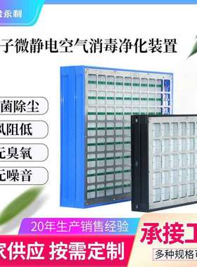 空气净化成套设备静电集尘器空气净化静电除尘IFD杀菌消毒