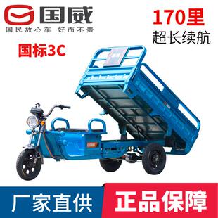 国威电动三轮车拉货带棚农用货运载货翻斗三轮车摆摊快递车