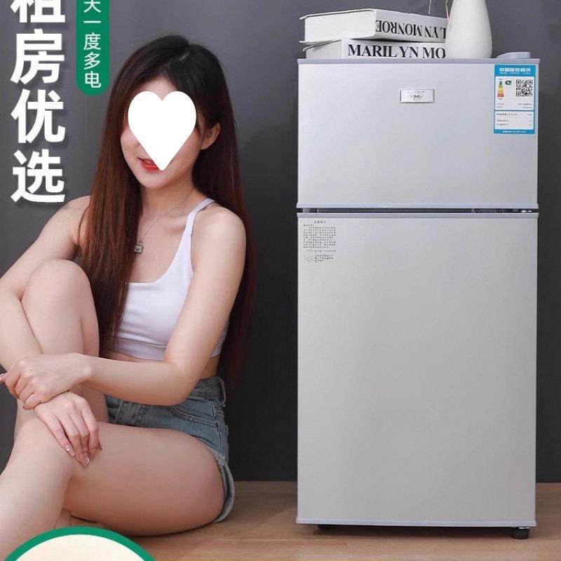 小冰箱家用小型宿舍出租房冷冻冷藏迷你双开门电冰箱一级节能省电