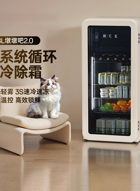 HCK哈士奇冰吧墩墩吧2.0冷冻冷藏饮料茶叶柜客厅冰吧家用小型