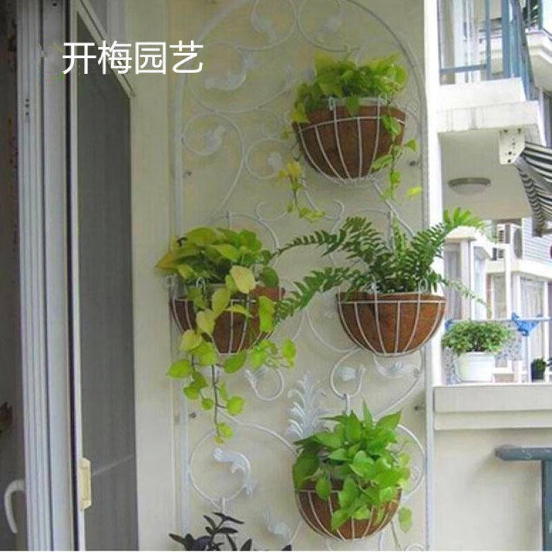 现货速发椰壳吊兰黑色铁艺壁挂椰棕半圆型吊篮垂吊花盆吊兰盆多肉