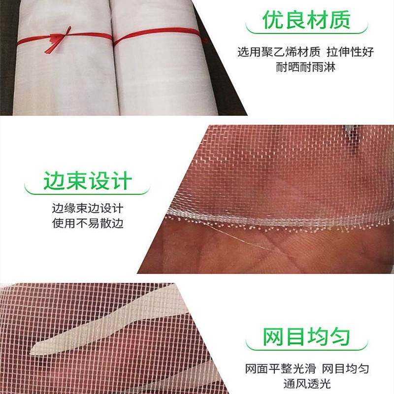 现货速发防虫网纱网养猪场加厚加密防蚊网菜园大棚果树杨梅树防蚊