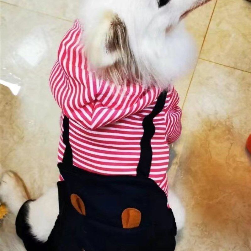 现货速发金毛衣服新款大狗衣服春秋款四脚卫衣衣服拉布拉多小服装