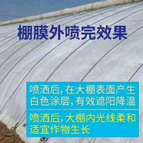现货速发倍克大棚降温剂立凉升级版防晒剂抗UV遮剂蔬菜温室大棚