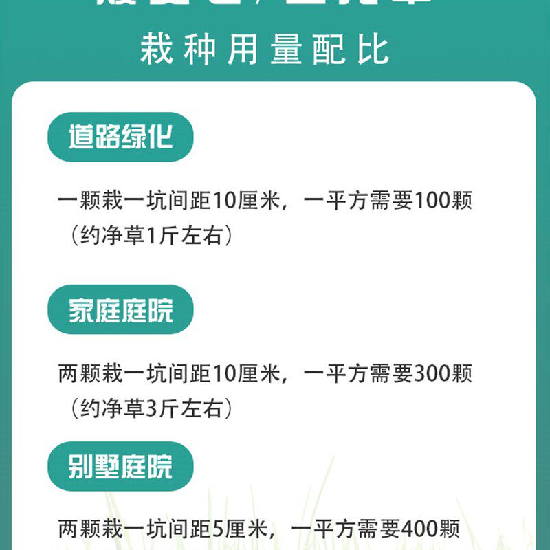 现货速发矮麦冬草苗玉龙草皮真草金边细叶长阔叶庭院绿化沿阶花卉