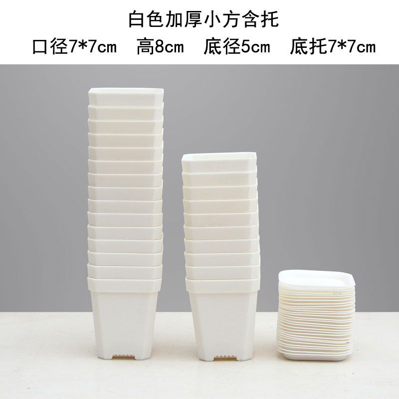 现货速发加厚八角7方小白黑方多肉大方形花盆塑料托架叶插育苗盆