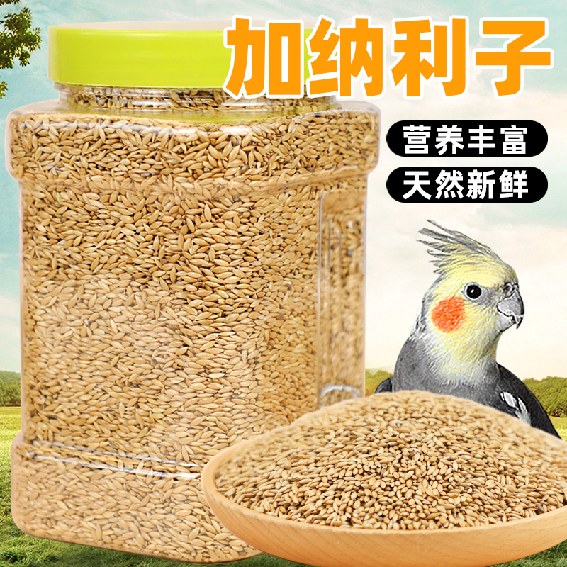 鹦鹉鸟粮饲料加钠利子白尖营养