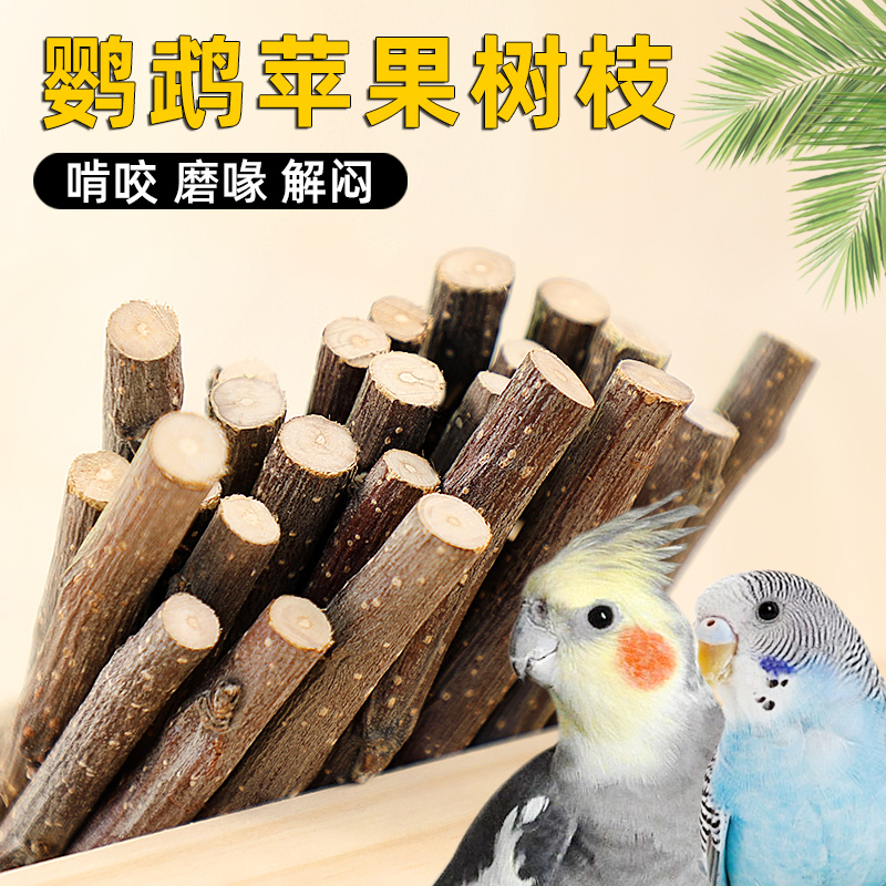 烘干苹果枝磨牙树枝鹦鹉啃咬树枝
