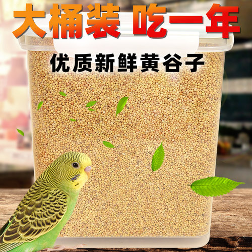 中小型鹦鹉带壳饲料新黄谷子