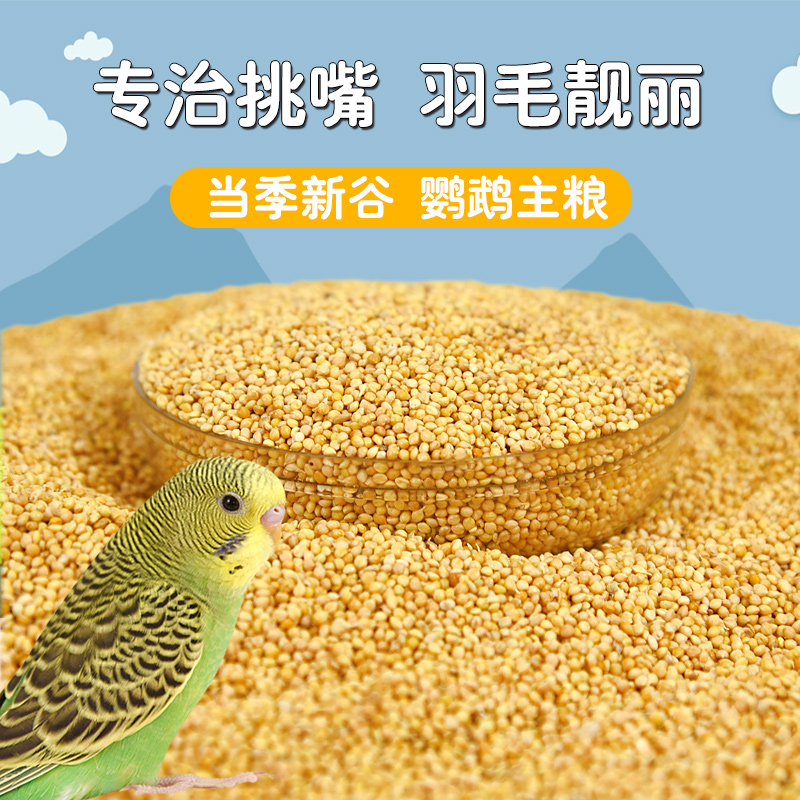 中小型鹦鹉带壳饲料新黄谷子