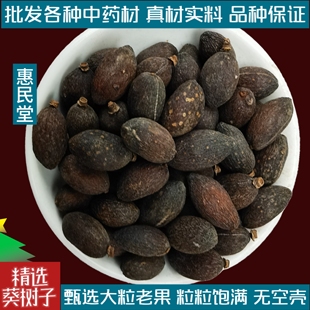 葵树子野生中药材500g精选广西大粒葵树籽老果葵扇子葵扇籽蒲葵籽