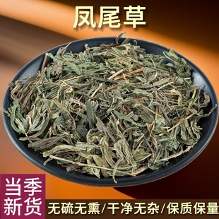 凤尾草中药材 干凤凰草凤尾蕨阉鸡尾金鸡爪金鸡尾精选正品新货