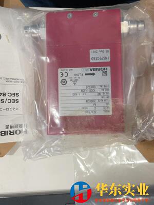SEC-E40 Ar 20SCCM  Horiba流量计全