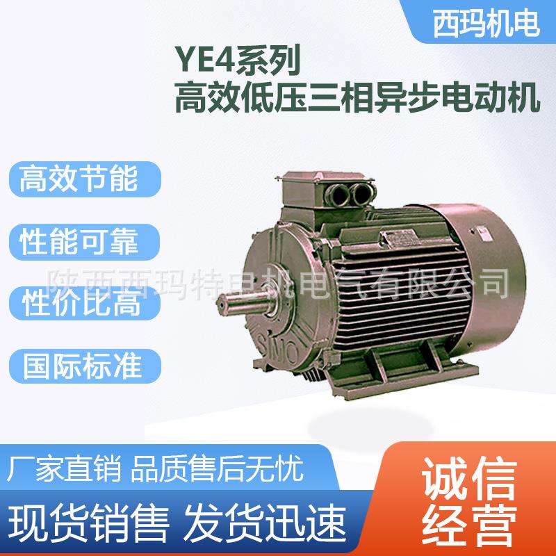 西安电机YE4-4003-6极500W660V大外圆交流三相异步电动机厂