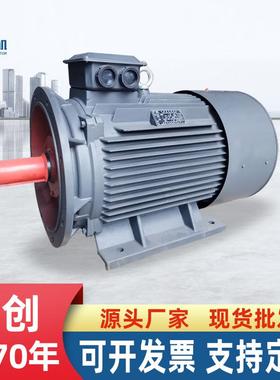 螺旋挤压机三相异步电动机75-132w双轴双法兰380V马达