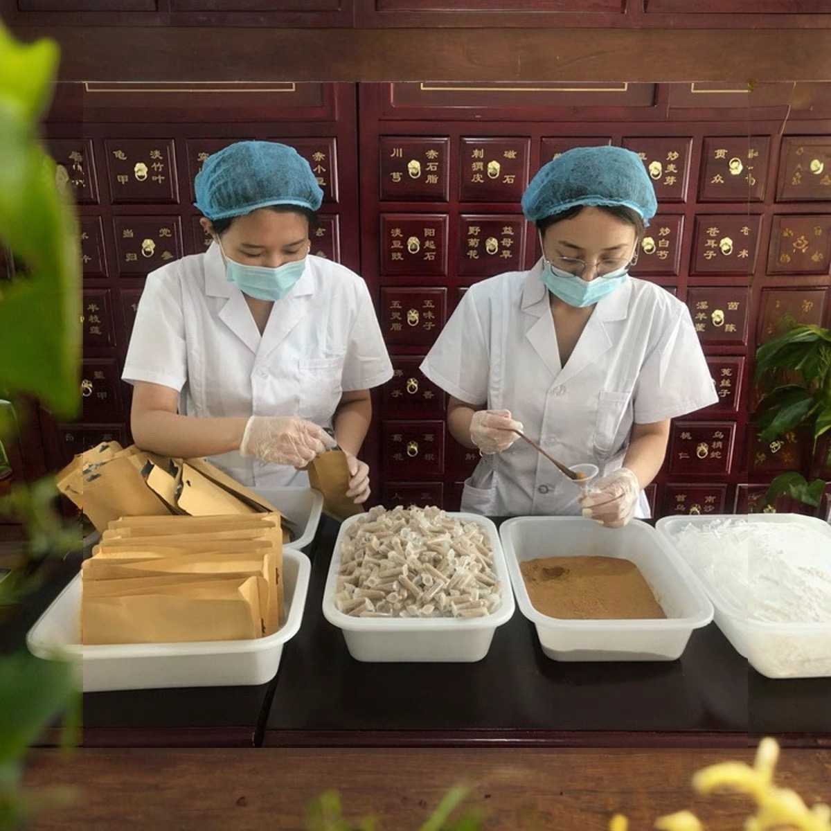 纯植物养发粉生发液何首乌侧柏叶人参育发液补发链接