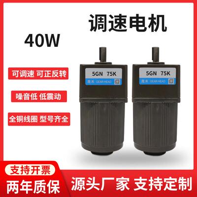 调速电机40W220V380V齿轮减速机灌肠机5I40RGN-C可调变速小马达