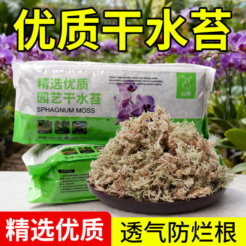 蝴蝶兰专用水苔兰花植料