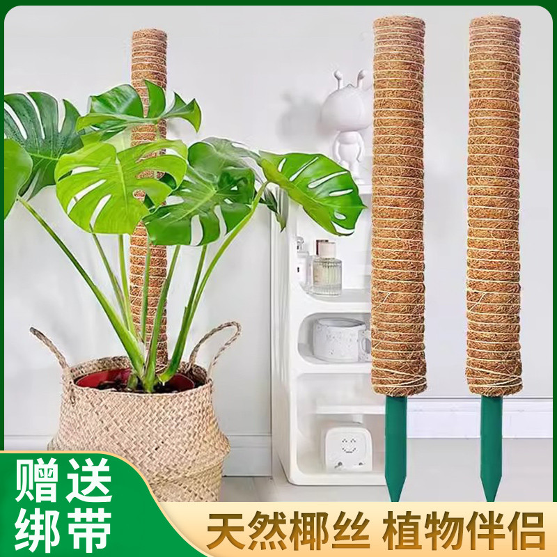 速发花棕棒支撑杆绿箩爬藤支架椰棕棒植物攀爬柱椰丝固定架椰架棕