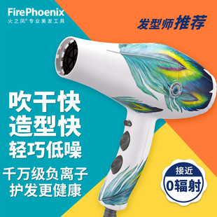 速发家之凤电吹风机发用专廊大功率理发店发型师火用旗舰860