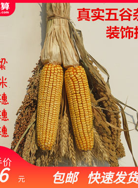 农家乐装饰玉米挂件麦穗水v稻穗干花五谷杂粮农家院农作物五谷丰