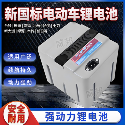 电动车锂电池48V-60V爬楼机通用