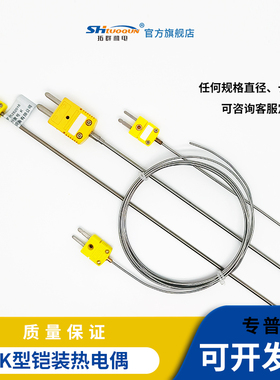 WRNK-171黄插头式K型铠装热电偶探针温度传感器耐高温实验室测温