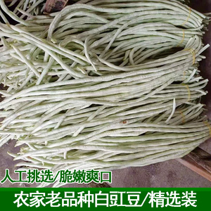 农家老品种长豇豆白豆角白豇豆