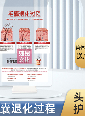毛囊退化过程亚克力展示牌双面印刷高透UV美发沙龙咨询摆件植发馆