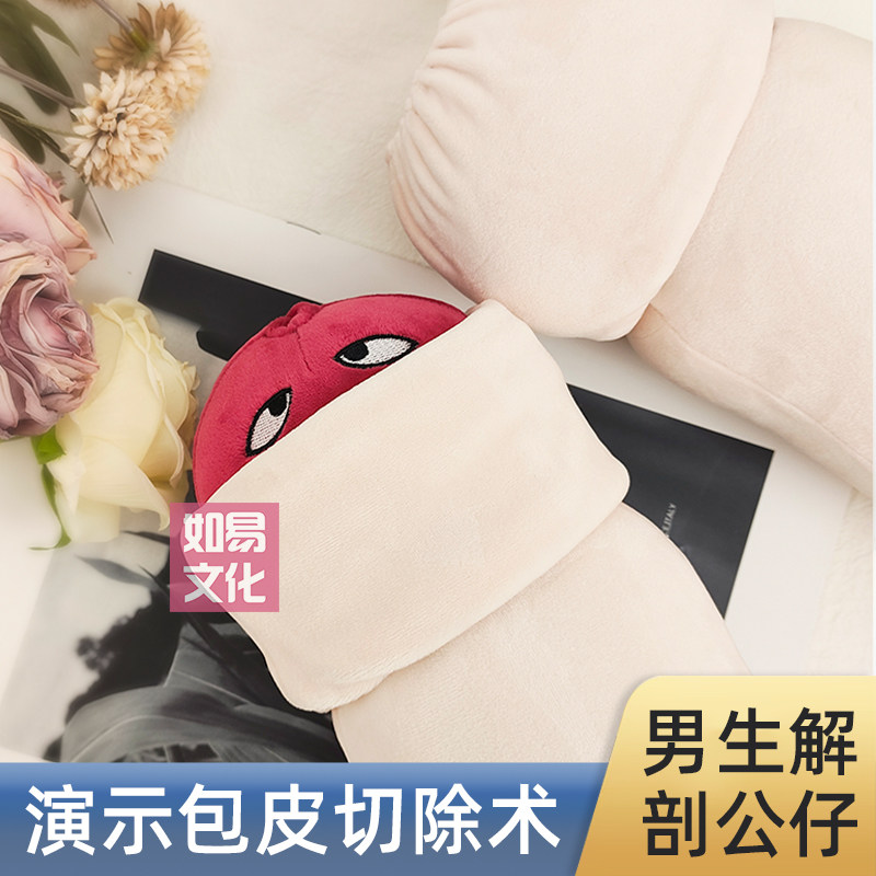 男性解剖公仔天鹅绒面料人体解剖毛绒/玩偶/公仔/布