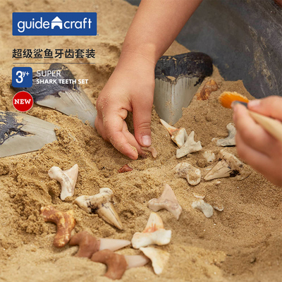 guidecraft Детская реалистичная акула, комплект, учебные пособия, наука, 2-3 лет