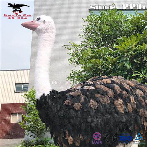 自贡大型仿真动物工厂鸵鸟塑性逼真亲子乐园动物园互动模型摆件