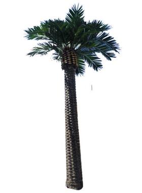 仿真海枣树大型户外棕榈树沙漠海滩公园绿色植物造景外贸假海藻树