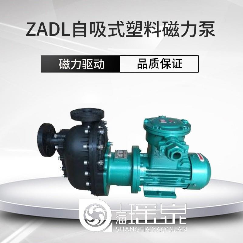 ZADL自吸式塑料磁力泵耐腐蝕自吸泵無泄漏磁力泵防爆自吸塑料泵