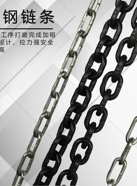 H型环链D电动葫芦吨起重机提升机纯铜电机小葫SUS芦12精3准吊装