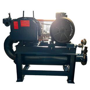 roots Sewage bleowaer artion blower treactment eletric