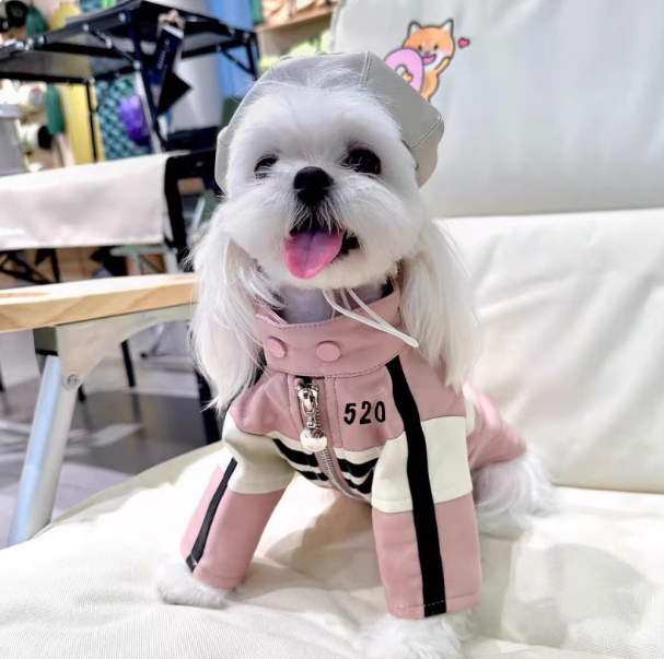潮流赛车服夹克狗狗衣服宠物秋冬季保暖中小型犬专用雪纳瑞约克夏