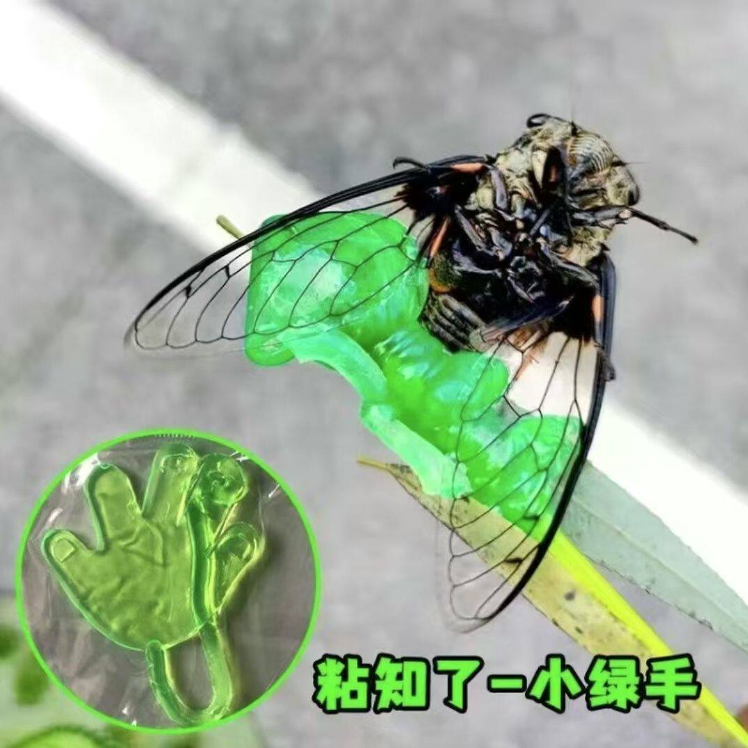 知了捕捉器神器小手捕蝉儿童工具