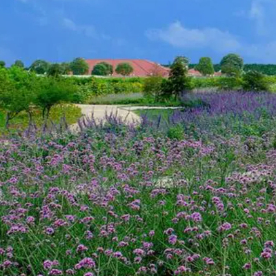 这是一家感情店一分钱