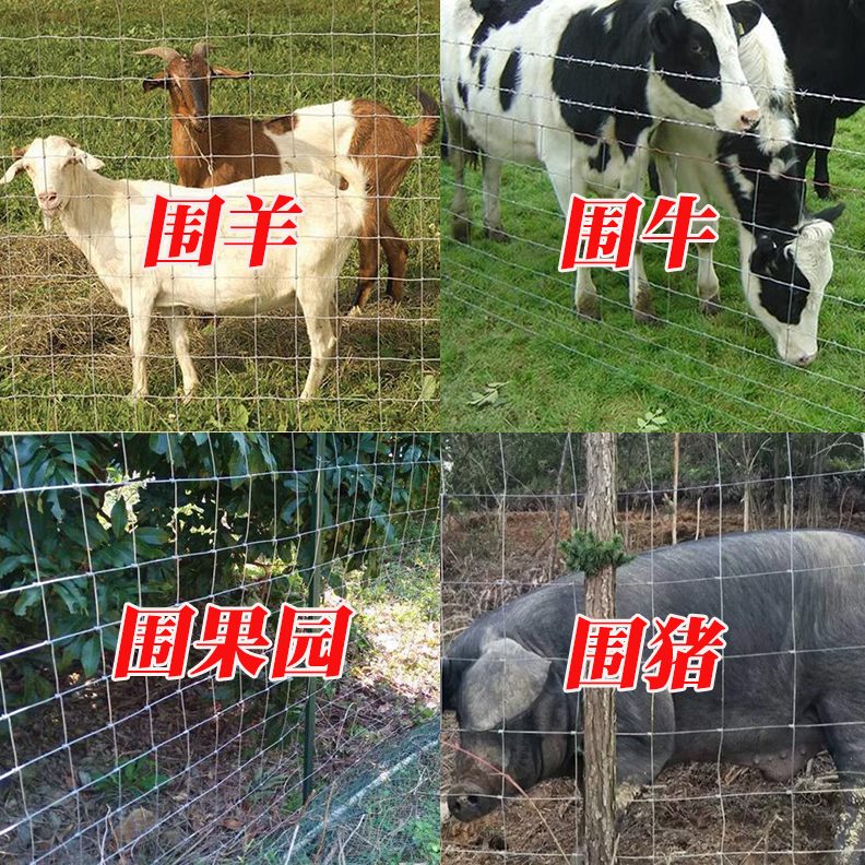 养殖热镀锌钢丝网家用圈马牛羊猪大孔隔离围栏网户外防护栅栏不锈