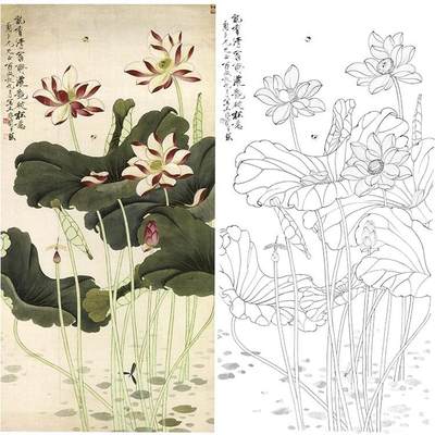 工笔画白描底稿于非闇红荷花蜻蜓勾线实物打印稿尺寸可选YF72